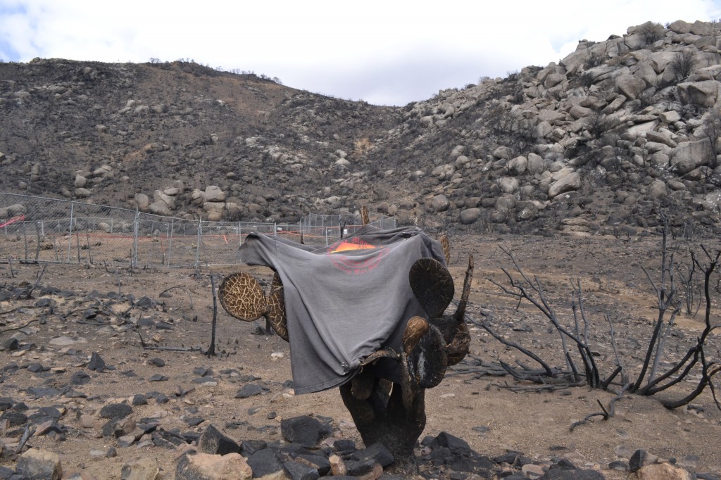 A Granite Mountain Hotshot t-shirt is draped over a cactus. The shelter deployment site is behind. The crew descended into the box canyon from the saddle on the ridge.