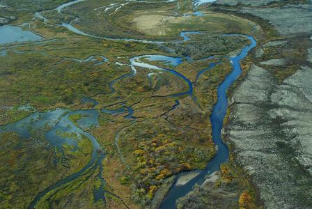 Sensitive wetlands hosting the world's largest sockeye salmon run flow into Bristol Bay. Credit: US Environmental Protection Agency