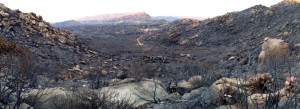 A bulldozed trail connects the Boulder Springs Ranch to the site where the Granite Mountain Hotshots were killed on June 30, 2013.